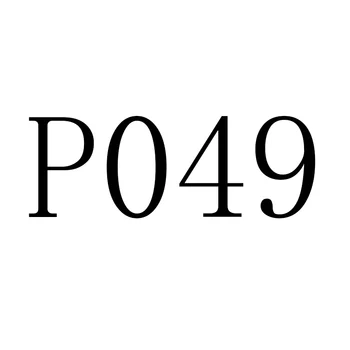 P049