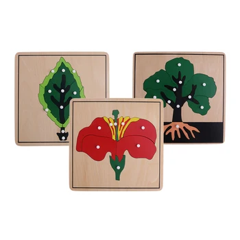 Montessori 3 Botānika Mīklas Flashcards (koku, Lapu Un Ziedu)