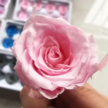 5-6CM 6PCs Augstas Kvalitātes Konservēti rožu lodziņu Nemirstīgs Rose Puķu DIY Materiālu Vairumtirdzniecība Ziedu Dekorācijas Mūžīgo ziedi