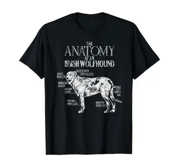 Awesome Irish Wolfhound Suns-Mīļākais Anatomija 564 T-Krekls